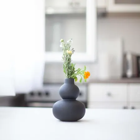 Astra Near The Main Bus Station 아파트 *